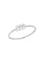 Aquarius Ring