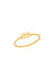 Aquarius Ring