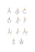 Diamond Initial Charm